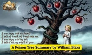 A Poison Tree Summary by William Blake