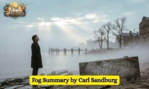 Fog Summary by Carl Sandburg