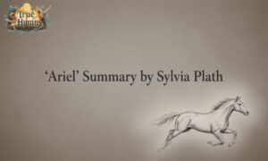 Ariel Summary by Sylvia Plath