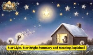 Star Light, Star Bright Summary and Meaning Explained