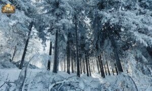 Fire and Ice by Robert Frost — Deep Analysis with Themes & Meaning