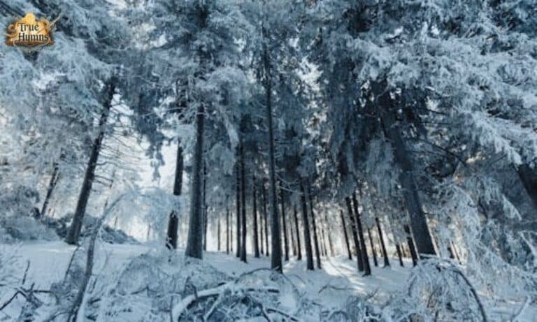 Fire and Ice by Robert Frost — Deep Analysis with Themes & Meaning