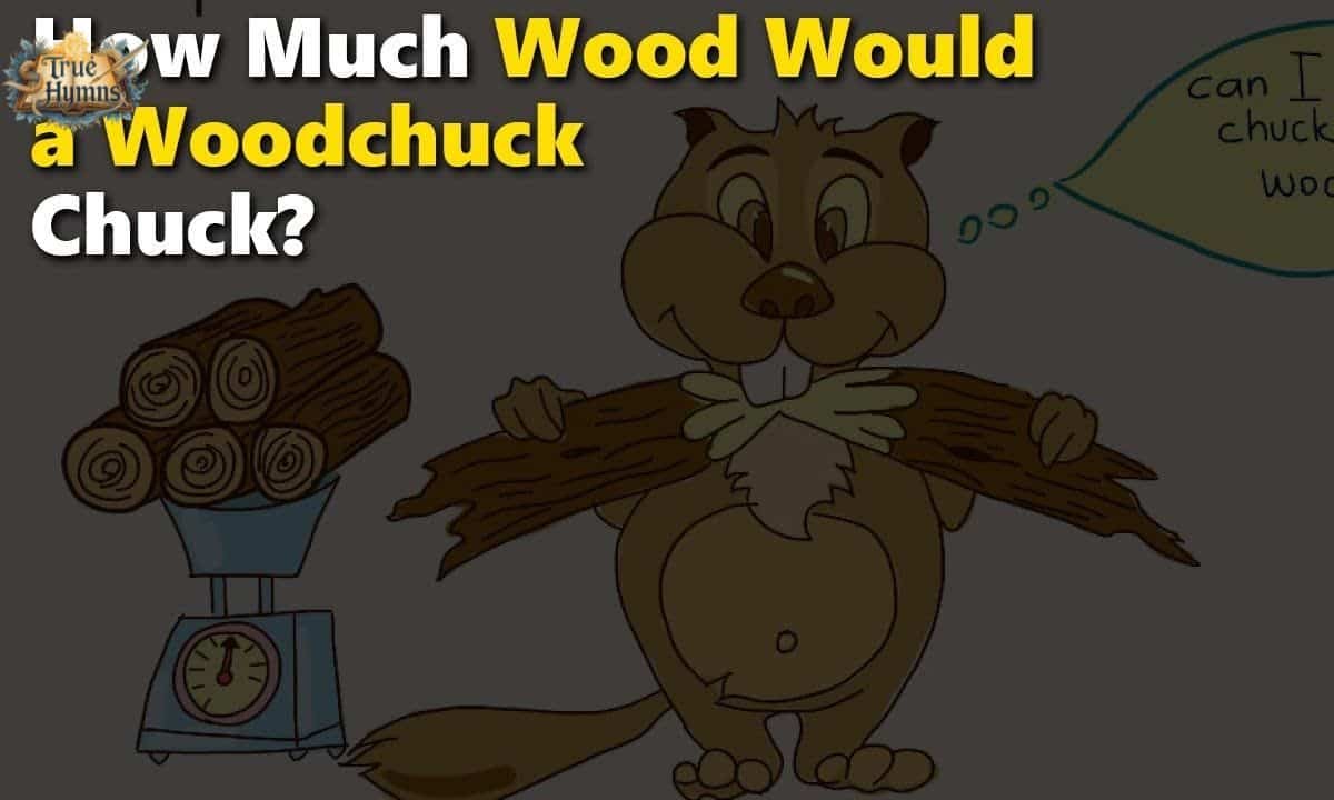 How Much Wood Could a Woodchuck Chuck? Full Guide