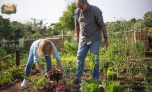 In the Garden Lyrics, Theology and Song Story