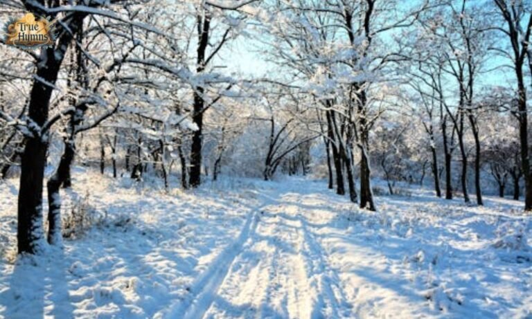 Those Winter Sundays by Robert Hayden: Deep Meaning & Analysis