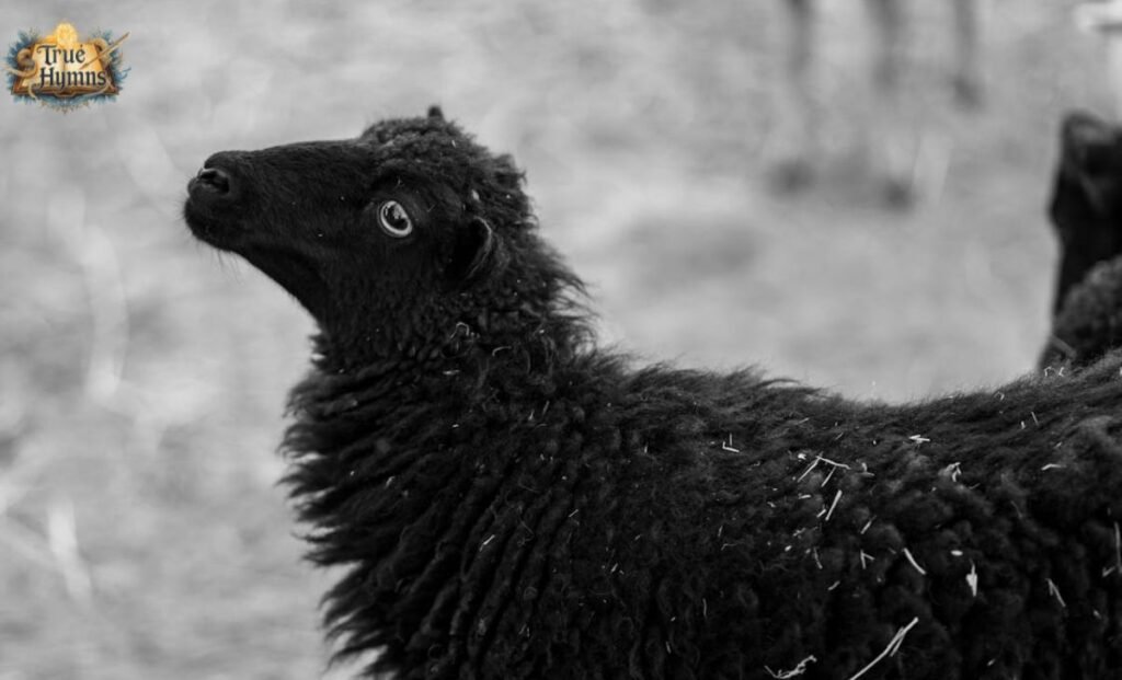 How Baa, Baa, Black Sheep Helps Early Learning